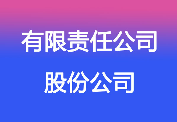 美國股份公司與有限責任公司